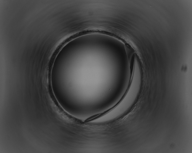 X0000091470984200708301849