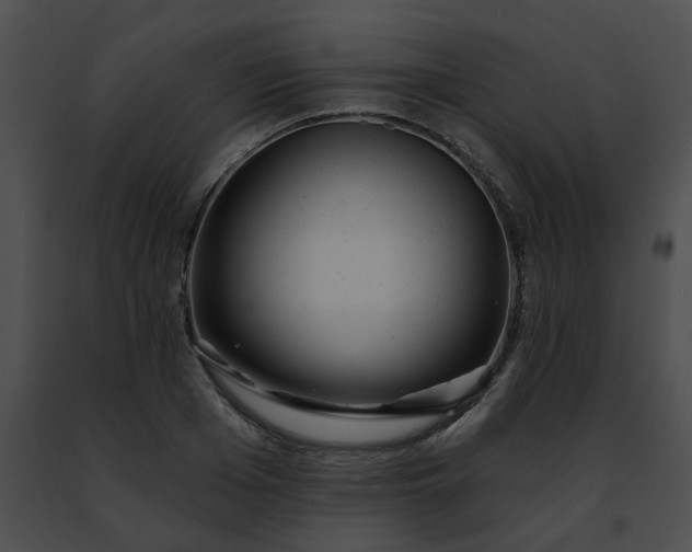 X0000091470985200708301849