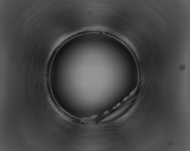 X0000091470989200708301849