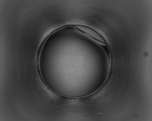 X0000091470990200708301849