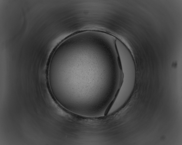 X0000091470995200708301849