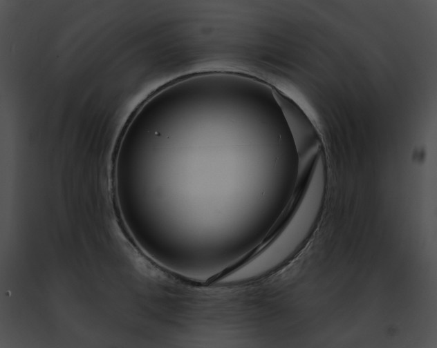 X0000091470996200708301849