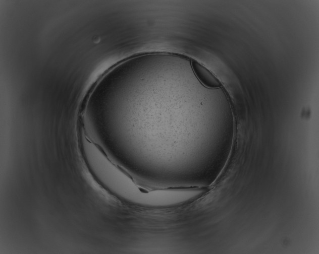 X0000091470998200708301849