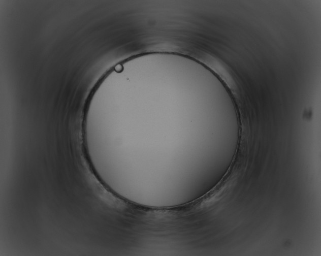 X0000091471000200708301849