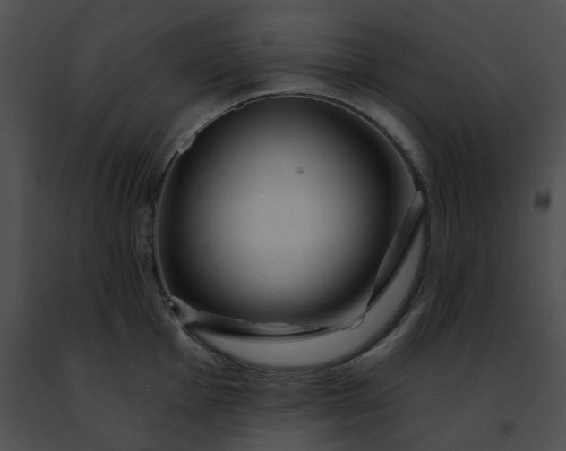 X0000091471001200708301849