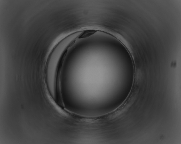 X0000091471005200708301849