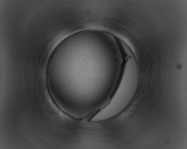 X0000091471007200708301849