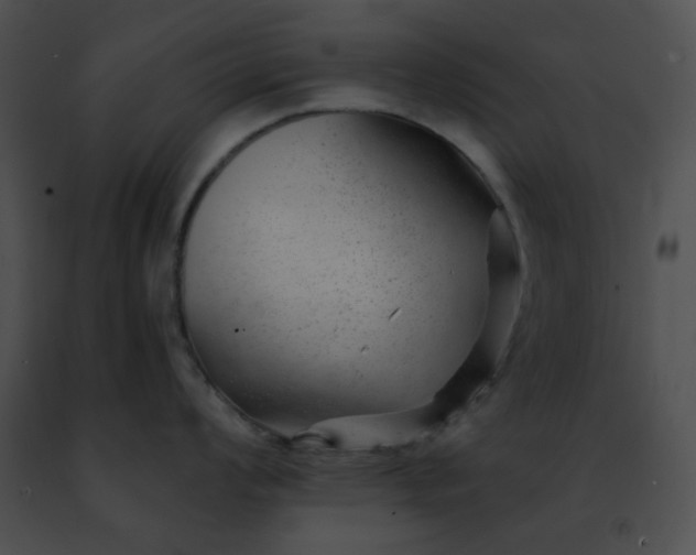 X0000091471008200708301849