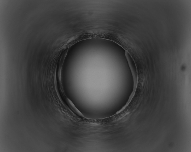 X0000091471010200708301848