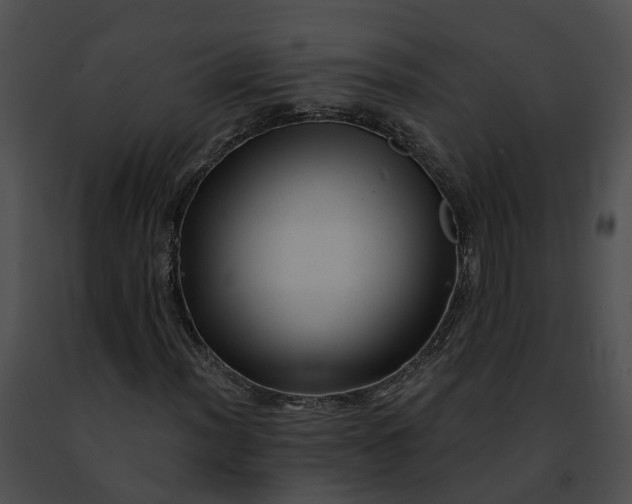 X0000091471012200708301848