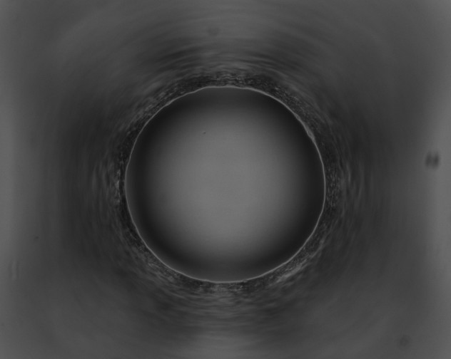 X0000091471013200708301848