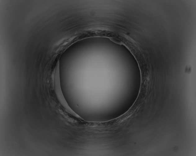 X0000091471014200708301848