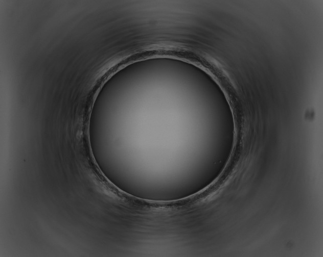 X0000091471017200708301848