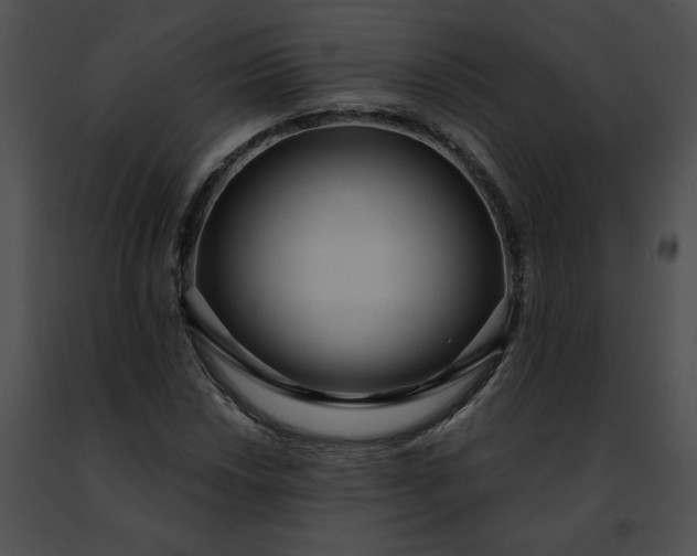 X0000091471018200708301848