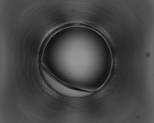 X0000091471020200708301849