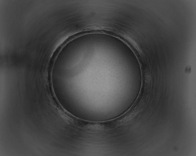 X0000091471023200708301849