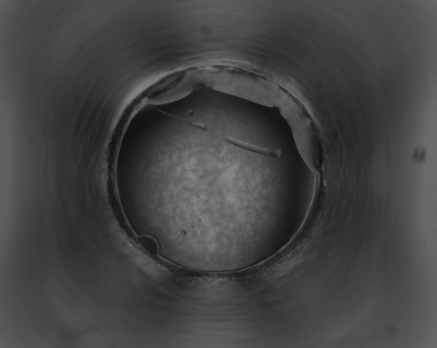 X0000091471024200708301849