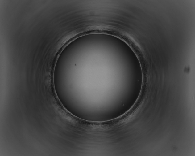 X0000091471025200708301849