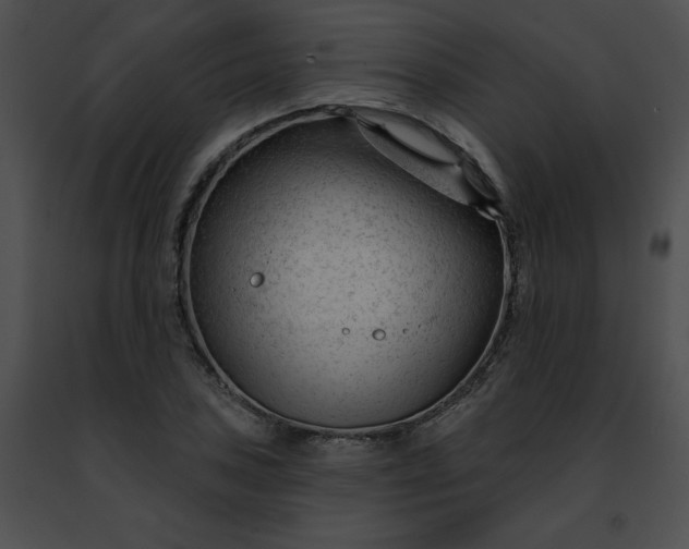 X0000091471027200708301849