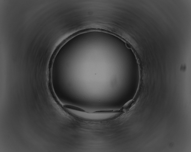 X0000091471028200708301849