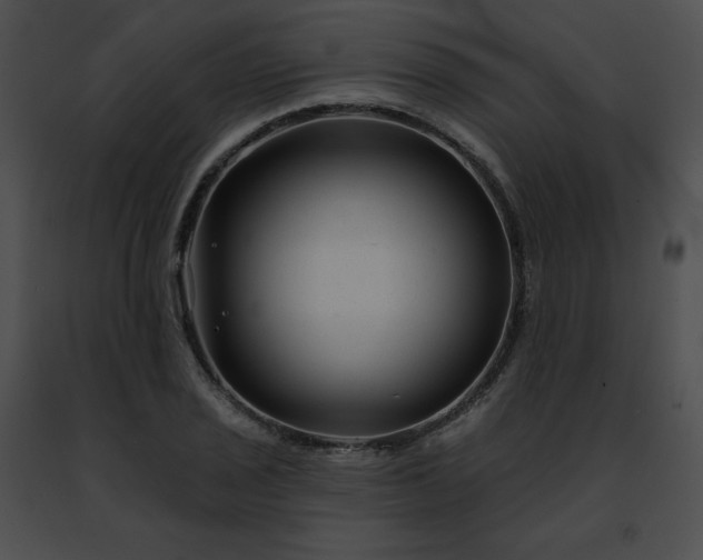 X0000091471029200708301849