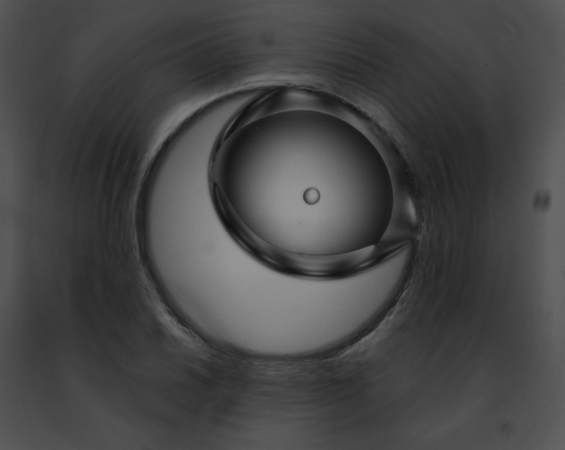 X0000091471030200708301849