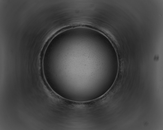 X0000091471031200708301849