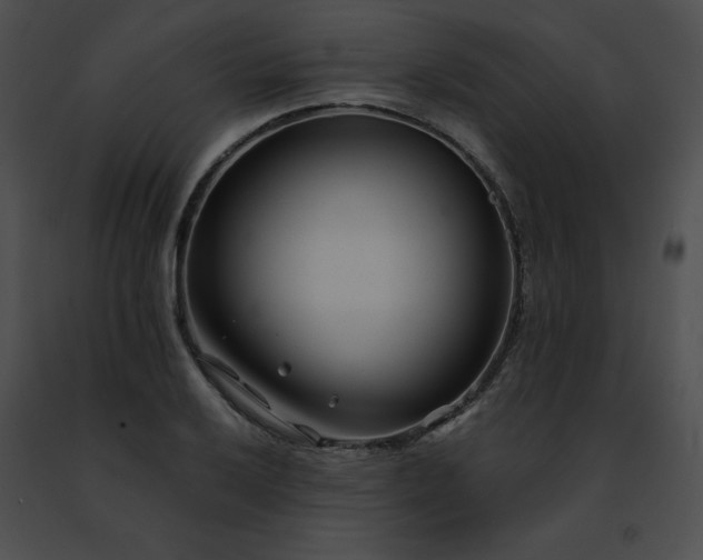 X0000091471032200708301849