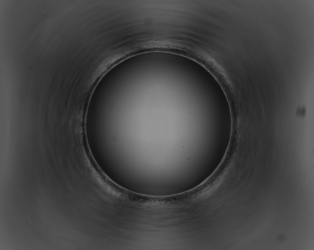 X0000091471033200708301849