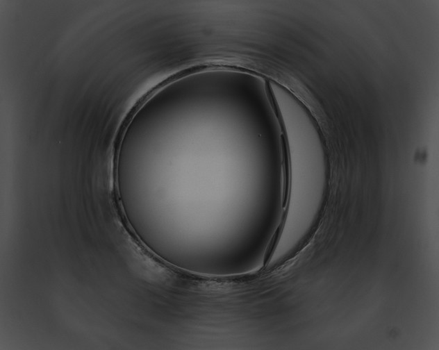 X0000091471036200708301849