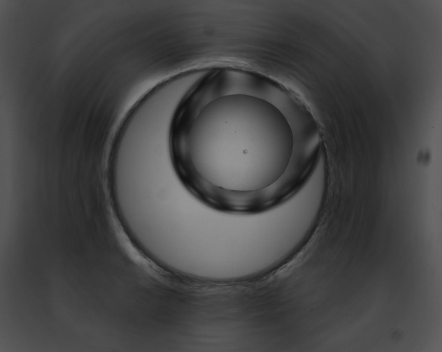 X0000091471038200708301849