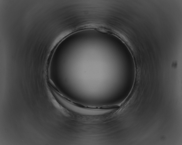 X0000091471042200708301849