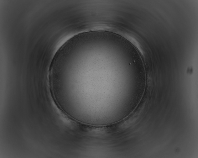 X0000091471047200708301849