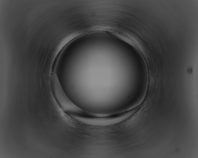 X0000091471050200708301849