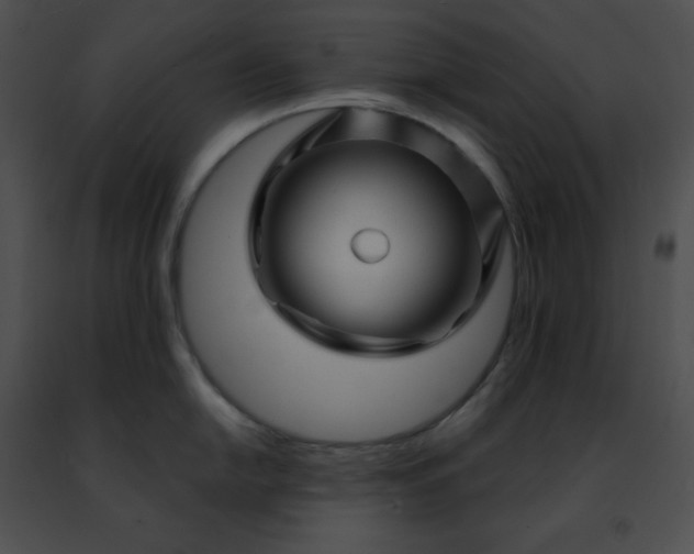 X0000091471054200708301849