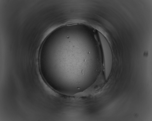 X0000091471055200708301849