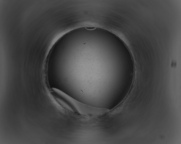 X0000091471056200708301849