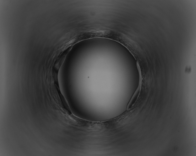 X0000091471058200708301848