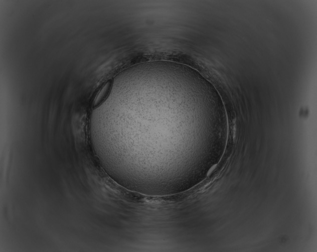 X0000091471059200708301848