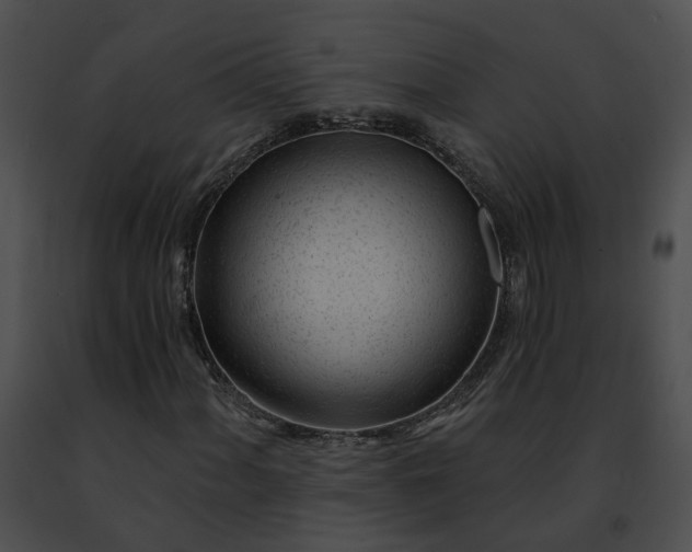 X0000091471060200708301848