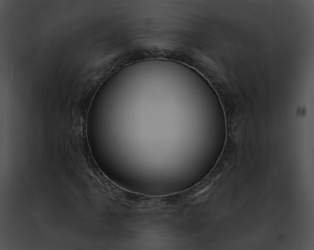 X0000091471061200708301848