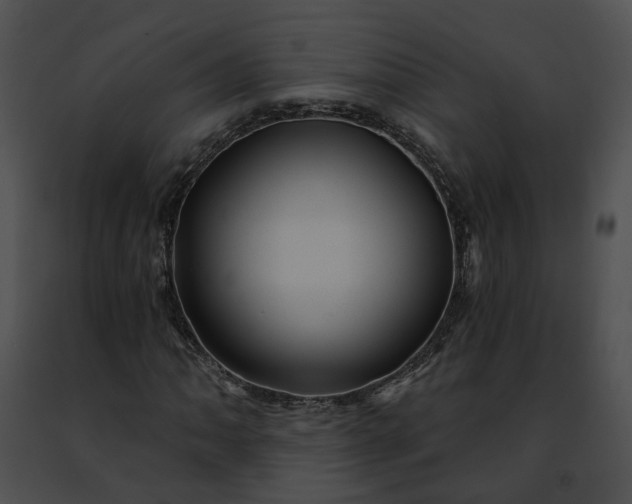 X0000091471062200708301848