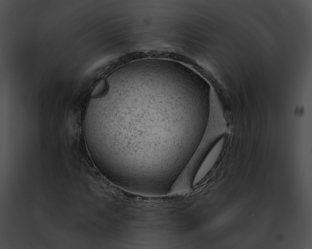 X0000091471063200708301848