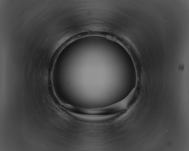 X0000091471065200708301848