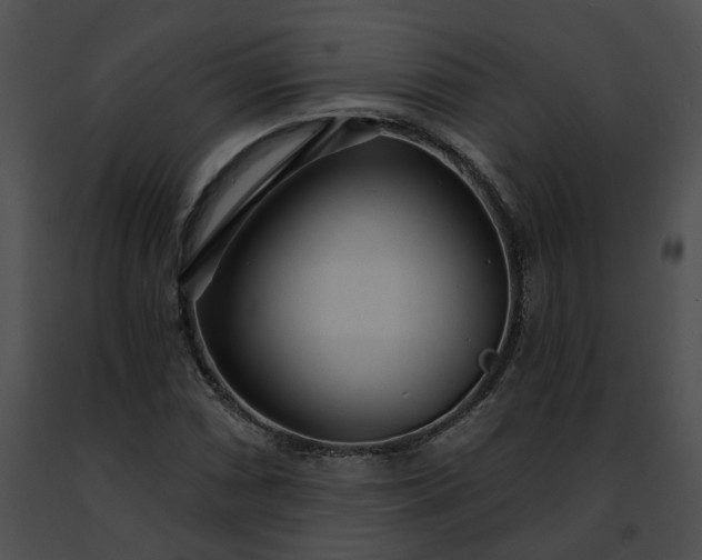 X0000091471066200708301848