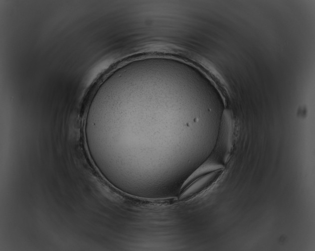 X0000091471067200708301848