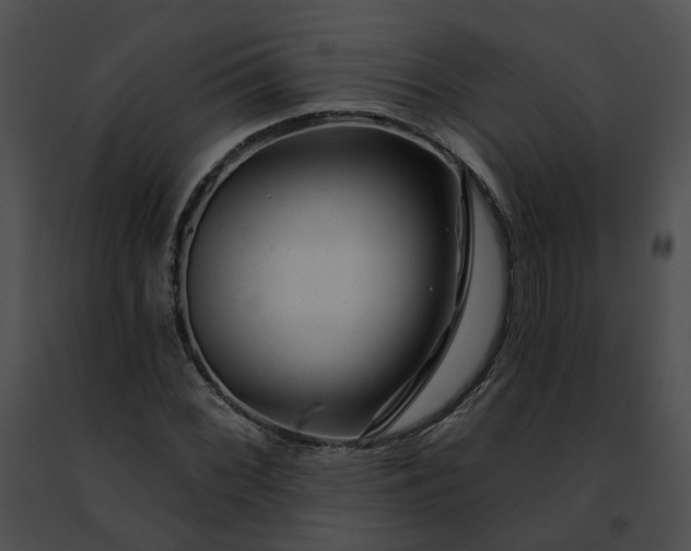 X0000091471068200708301848