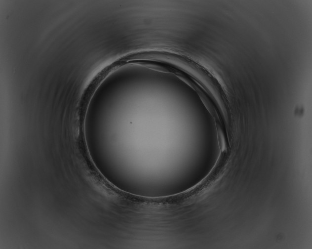 X0000091471069200708301848