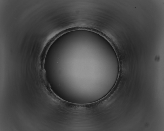 X0000091471070200708301848