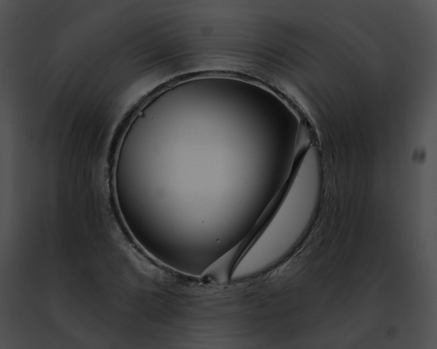 X0000091471072200708301848